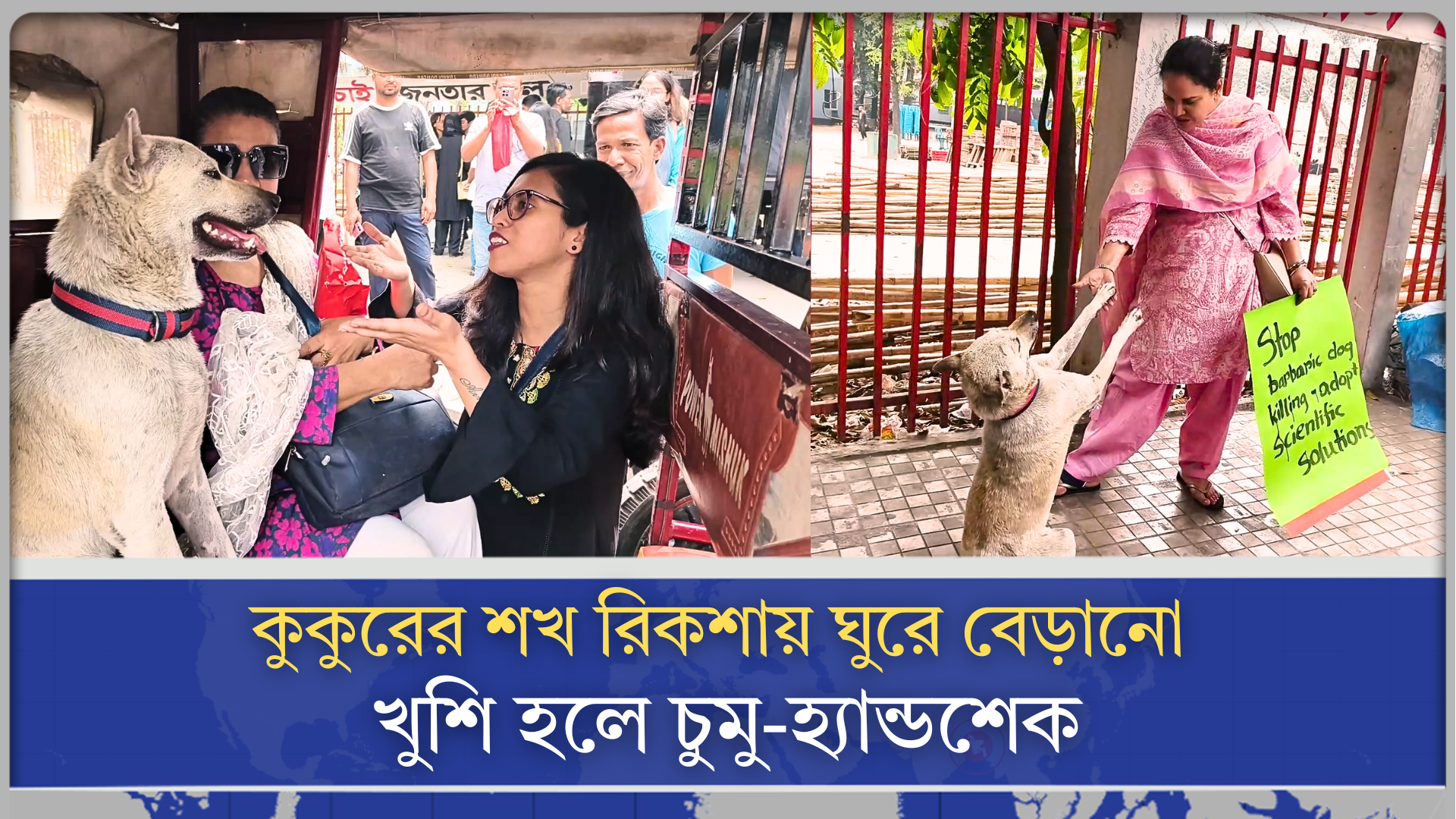 কুকুরের শখ রিকশায় ঘুরে বেড়ানো, খুশি হলে চুমু-হ্যান্ডশেক
